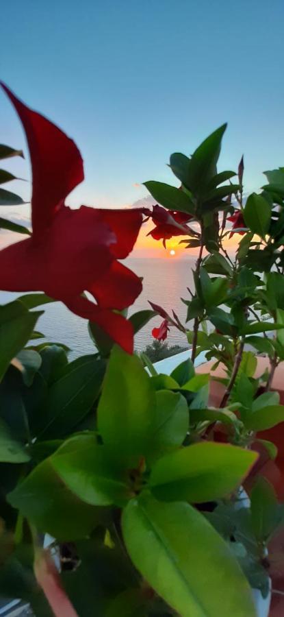Bella Vista House-Sorrento Coast - Free Parking-Solarium Apartment Vico Equense Exterior photo
